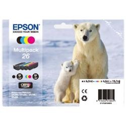 orso polare C13T26164010