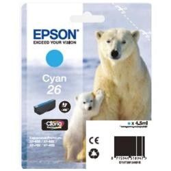 ORSO POLARE C13T26124012