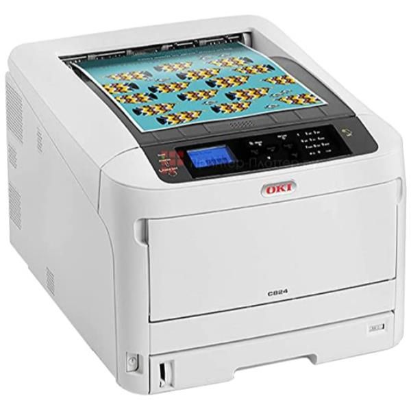 47219604