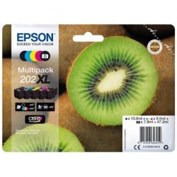 KIWI 202 C13T02G74010