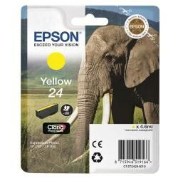 ELEFANTE 24 C13T24244012