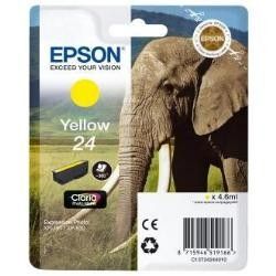ELEFANTE 24 C13T24244022