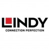 Lindy