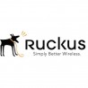 Ruckus Networks